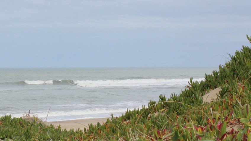 Playa Dorada
