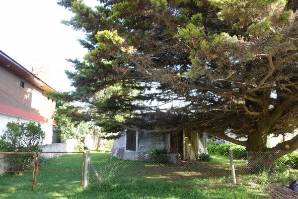 Miniatura 9 de Casa - Atlantida