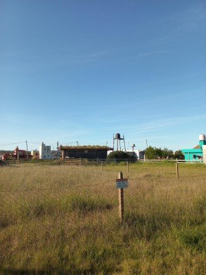 Miniatura 3 de Terreno - Camet Norte